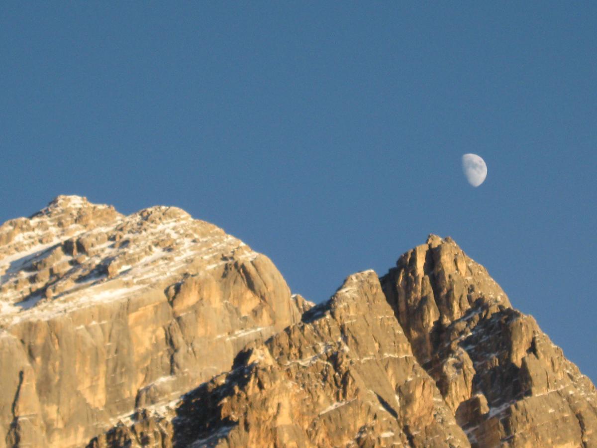 סאן ויטו די קדורה Hotel Albergo Dolomiti מראה חיצוני תמונה